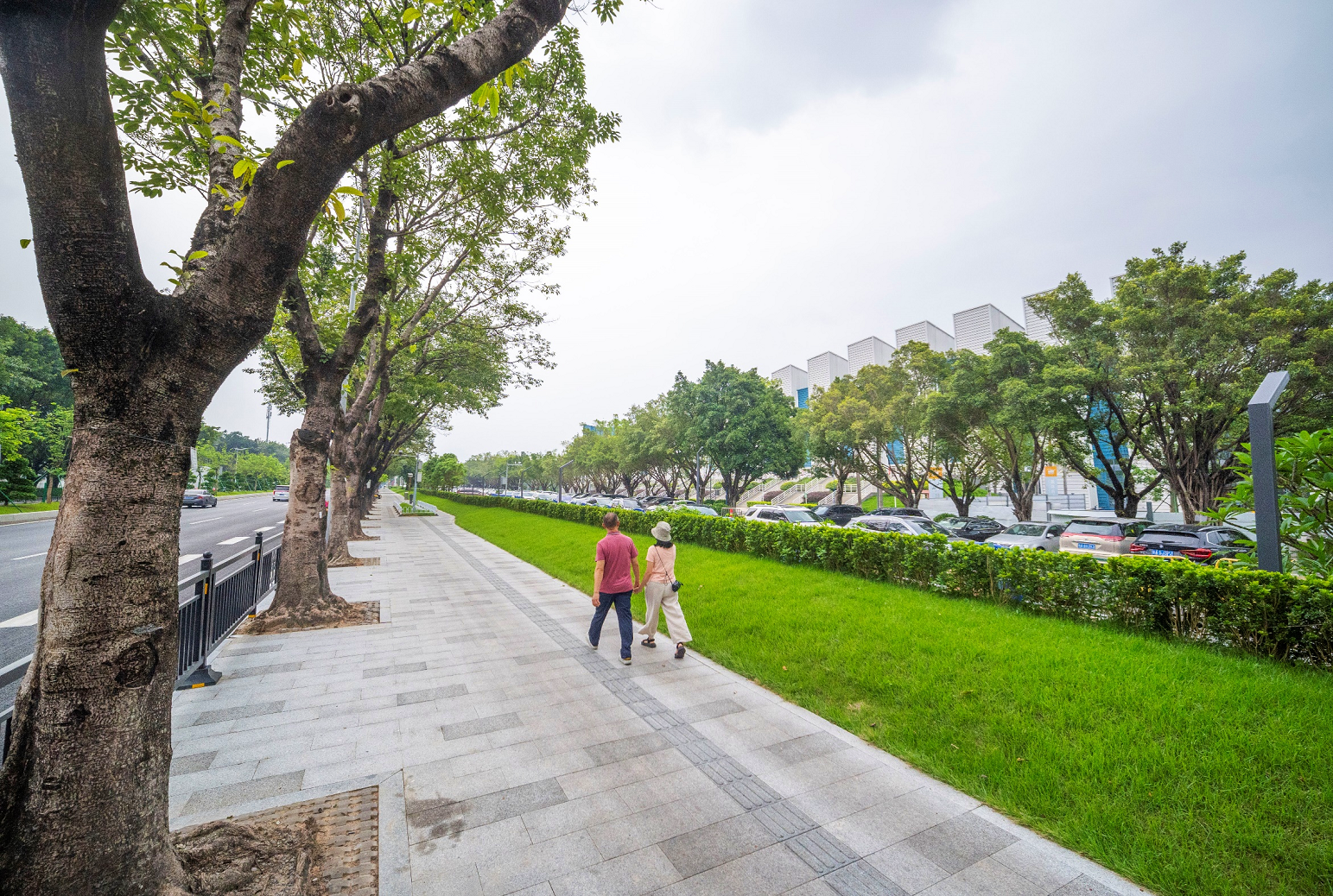 图片5.png 图片5.png