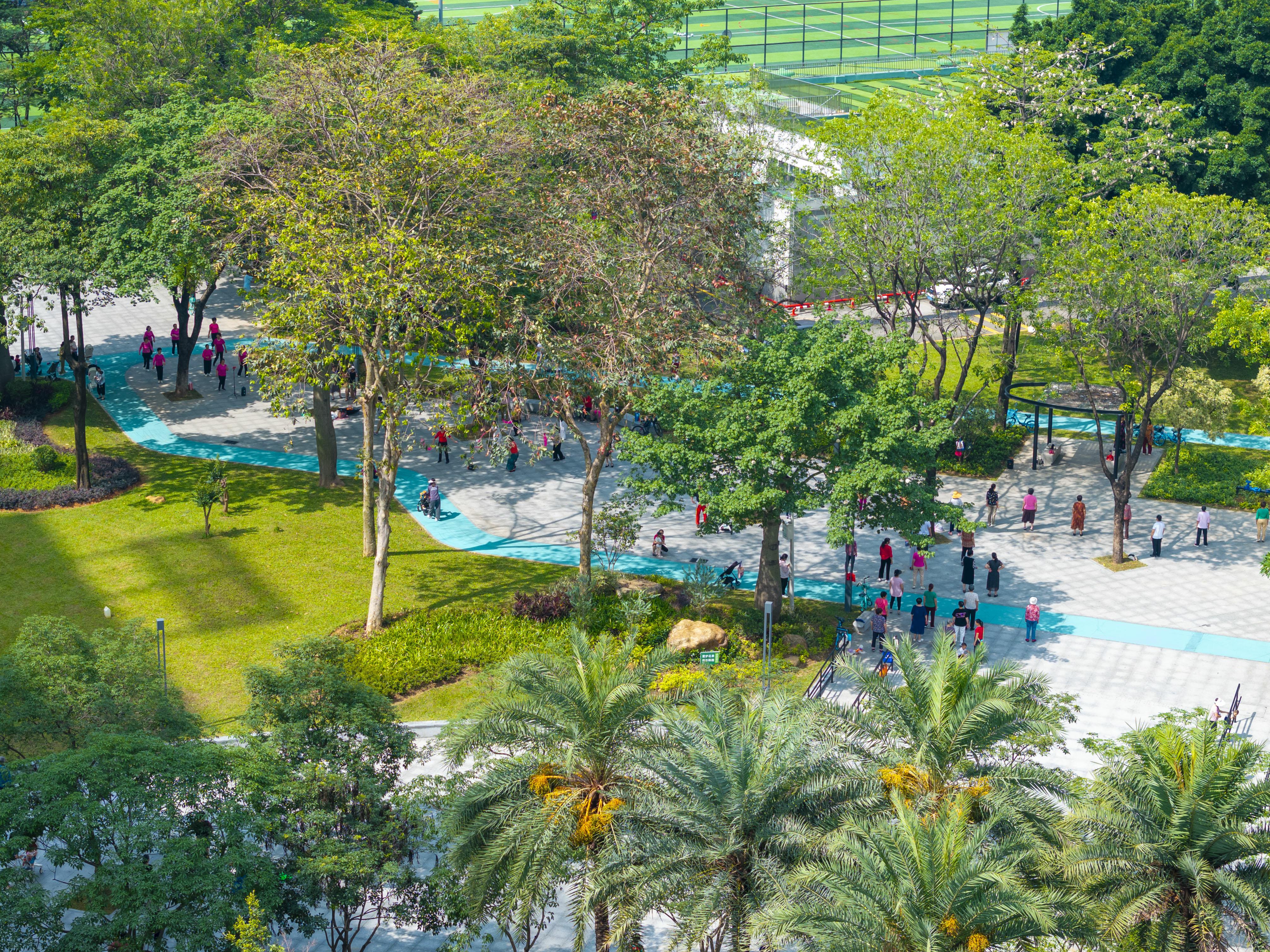 图片12.jpg 图片12.jpg