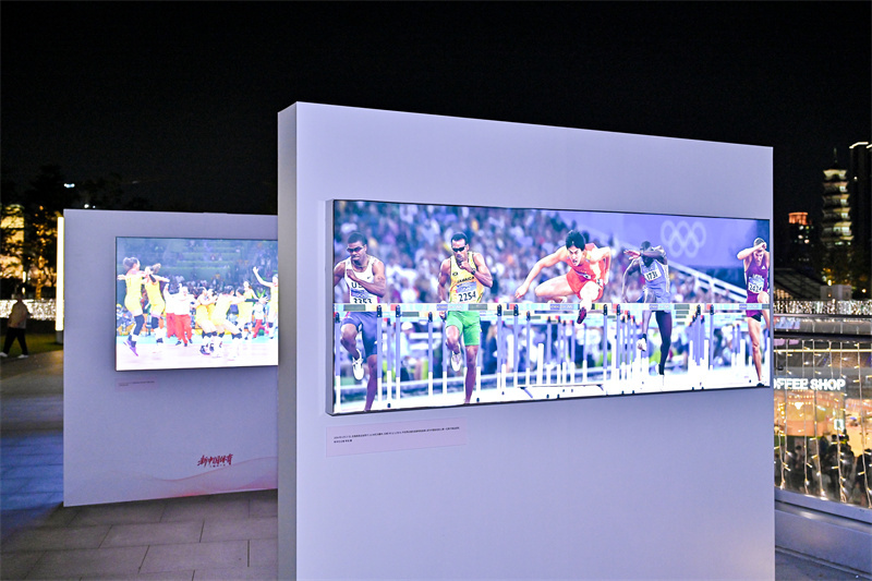 W020251102305196006013.jpg W020251102305196006013.jpg