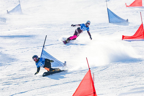 沈阳1.png 沈阳1.png