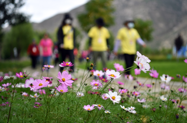 微信截图_20211111081439.png 微信截图_20211111081439.png