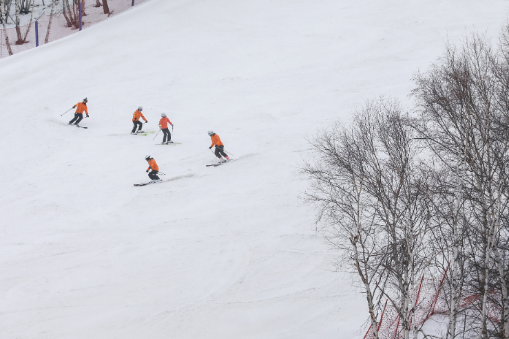 ScreenShot_2026-03-03_083715_760.png ScreenShot_2026-03-03_083715_760.png