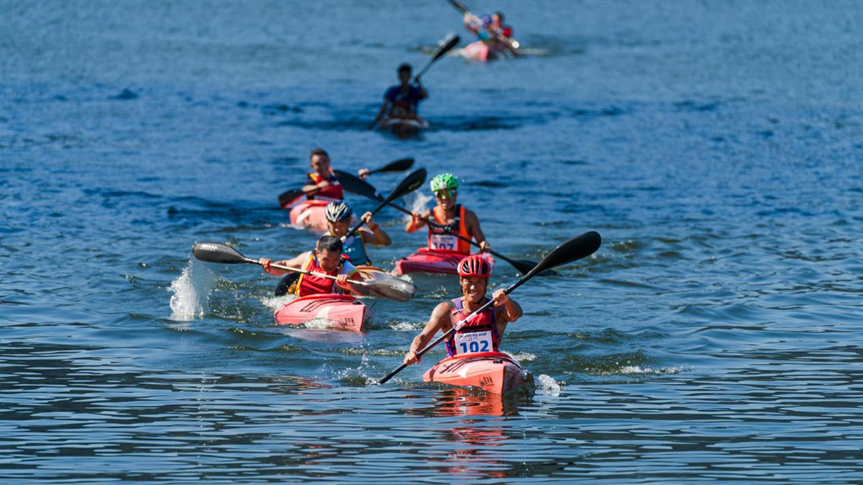 d47d609219866c922c61a2dc463cf58b.png d47d609219866c922c61a2dc463cf58b.png