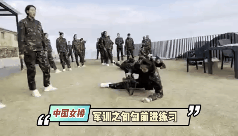 女排01.gif