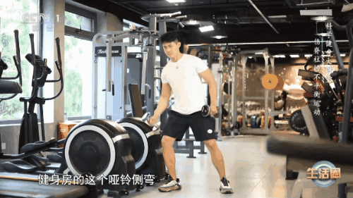 哑铃侧弯02.gif