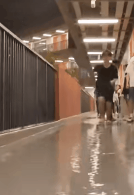 划水01.gif