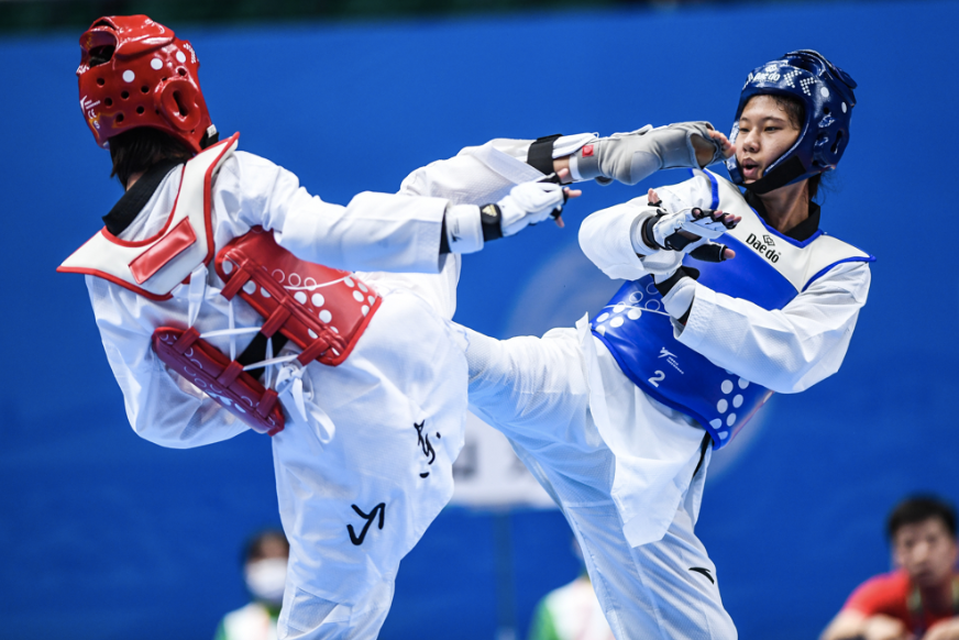 全运会-左菊(右).png 全运会-左菊(右).png