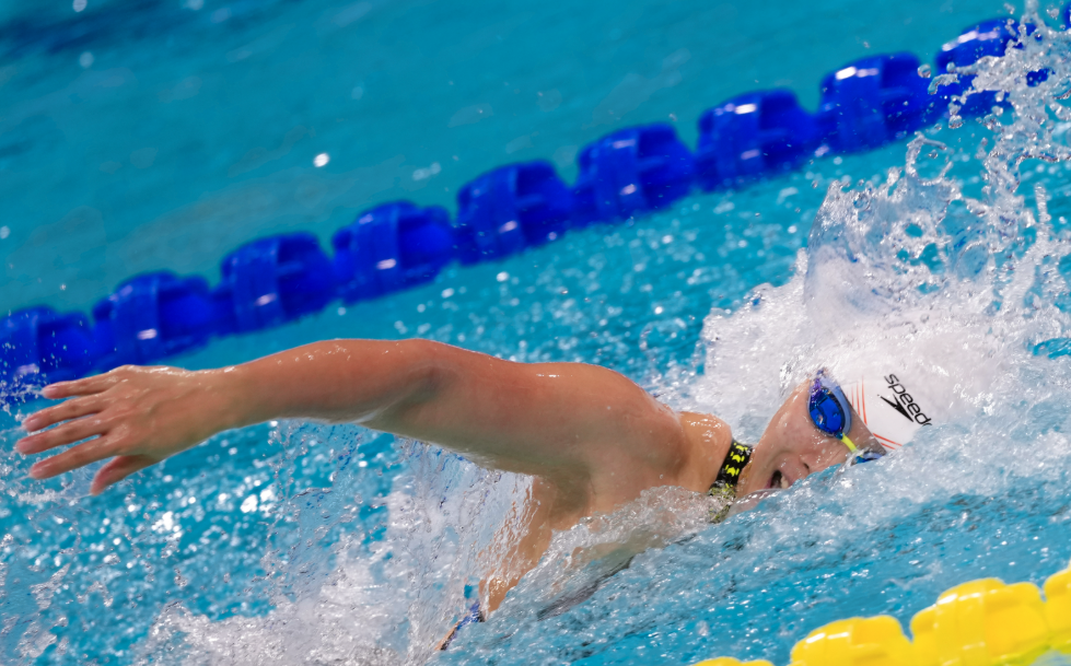 1111-友谊1.png 1111-友谊1.png