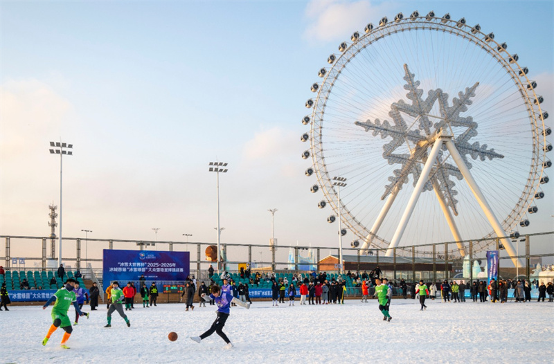 微信图片_20260207064344_2830_76.jpg 微信图片_20260207064344_2830_76.jpg