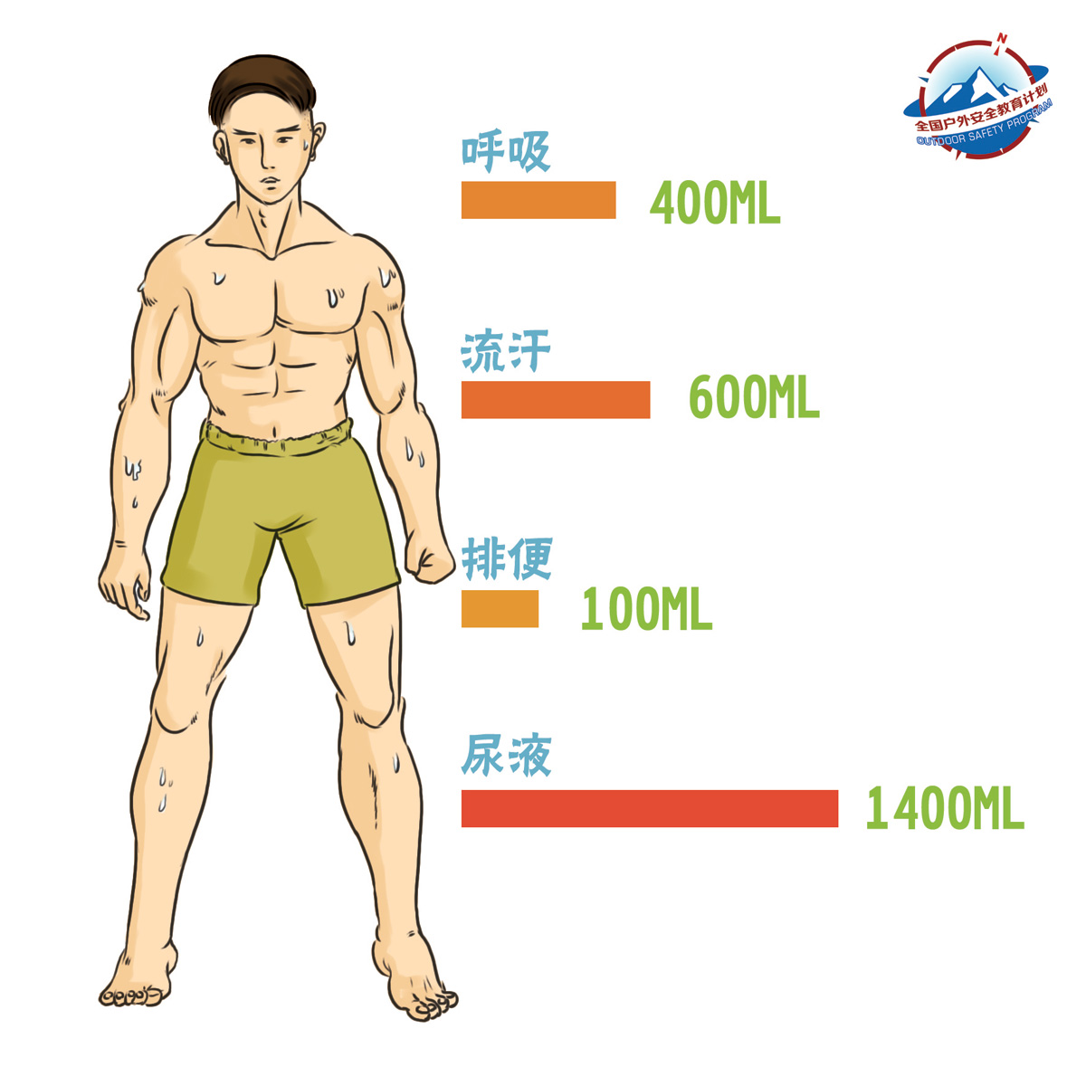 人体平均每天体液代谢量_1.jpg
